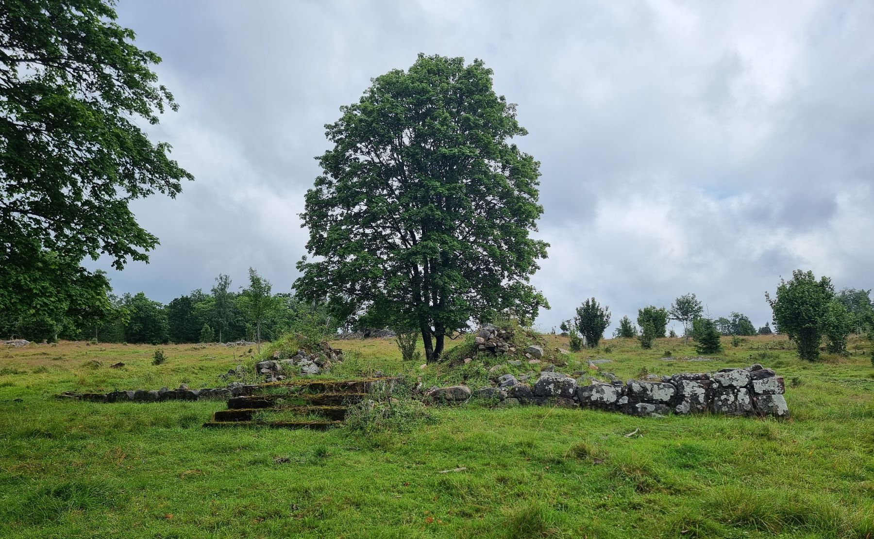 Brorsmla